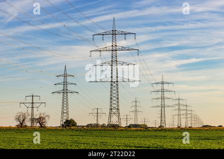 Innumerevoli poli e linee elettriche erette artificialmente in conflitto con l'ambiente naturale al tramonto, in Germania Foto Stock