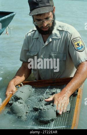 Creatore: Ramirez JR, Pedro. Argomenti: Problemi ambientali;dipendenti (USFWS). . 1998 - 2011. Foto Stock