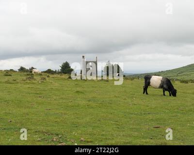 Rovina della miniera di stagno abbandonata a Hurlers Stone Circles sul Bodmin Moor vicino ai Minions. Foto Stock