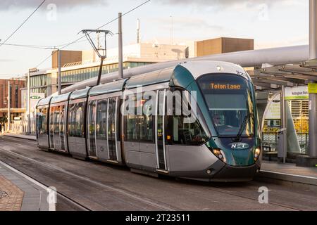 Tram Nottingham, Nottingham Express Transit (netta) Foto Stock