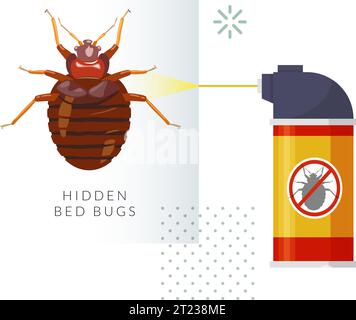 Rimuovere gli insetti del letto - genere Cimex - illustrazione delle scorte come file EPS 10 Illustrazione Vettoriale