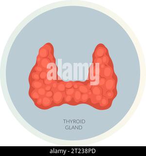 Ghiandola tiroidea - Endocrinologia - icona come file EPS 10 Illustrazione Vettoriale