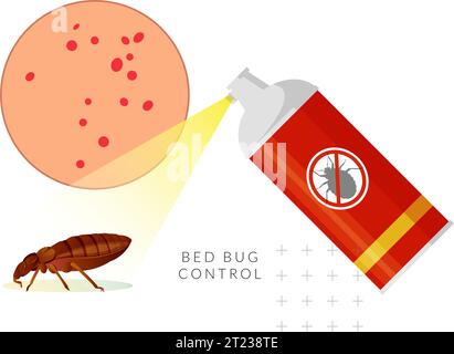 Rimuovere gli insetti del letto - genere Cimex - illustrazione delle scorte come file EPS 10 Illustrazione Vettoriale