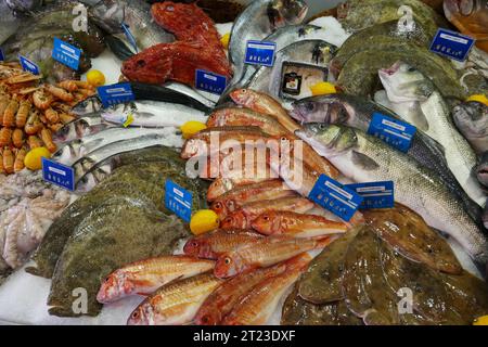 Varietà di pesce fresco esposto sul ghiaccio in un mercato ittico locale ad Antibes nel sud della Francia Foto Stock