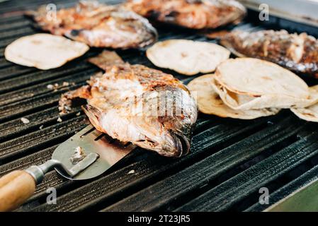 Pesce alla griglia con tortillas su un barbecue Foto Stock