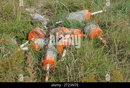 Una collezione di boe di trappole di aragosta che giacciono nell'erba nel porto di Menamsha, Martha's Vineyard, Massachusetts Foto Stock