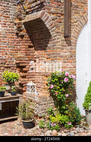 Fiori e piante di fronte a un vecchio muro di mattoni a Harderwijk, Paesi Bassi Foto Stock