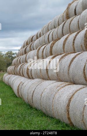 Pila di palle di fieno, fieno o haycock su un campo agricolo. Grandi rotoli di paglia in un'azienda agricola. Foto Stock