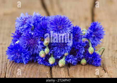 Cornflowers su sfondo di legno Foto Stock