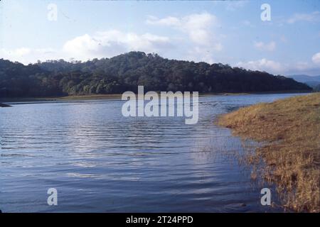 Thekkady è una città vicino al parco nazionale di Periyar, un'importante attrazione turistica nello stato indiano del Kerala. Il nome Thekkady deriva dalla parola "thekku" che significa teak. Con lo sfondo della fitta foresta della riserva naturale, il lago è molto panoramico. Offre un'ampia varietà di vita selvaggia, Tiger Reserve, gite in barca. Foto Stock