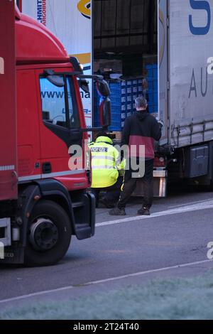 Reitzenhain, Germania. 17 ottobre 2023. Gli agenti di polizia federale controllano un camion vicino al confine tedesco-ceco. Da lunedì (16.10.2023) sono stati introdotti controlli temporanei alle frontiere tedesche con la Polonia, la Repubblica ceca e la Svizzera. Credito: Sebastian Willnow/dpa/Alamy Live News Foto Stock