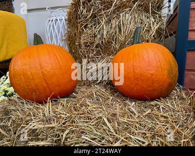 Zucche d'arancia poste accanto a un filo di fieno Foto Stock