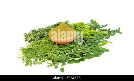 Polvere e foglie verdi fresche di albero miracoloso moringa su sfondo bianco isolato Foto Stock