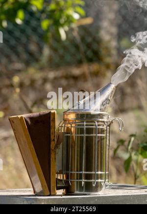 Primo piano di un fumatore di apicoltura che fuma in un apiario Foto Stock