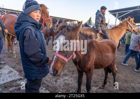 Commercianti di cavalli, acquirenti e venditori al mercato settimanale dei cavalli a Karakol, in Kirghizistan Foto Stock