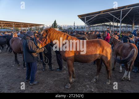 Commercianti di cavalli, acquirenti e venditori al mercato settimanale dei cavalli a Karakol, in Kirghizistan Foto Stock