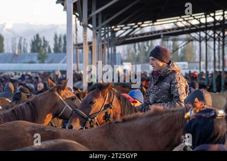 Commercianti di cavalli, acquirenti e venditori al mercato settimanale dei cavalli a Karakol, in Kirghizistan Foto Stock