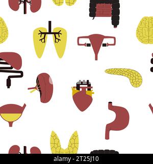 Modello medico senza cuciture di vari organi interni umani in stile geometrico grafico su sfondo bianco. Illustrazione Vettoriale