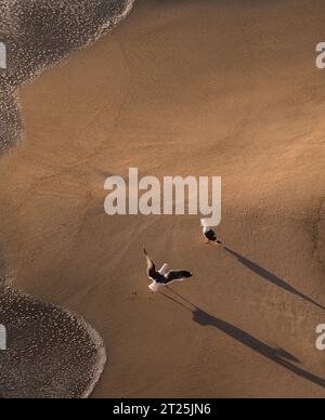 Amore per Los Angeles Foto Stock