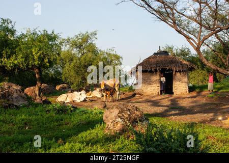 I Njemps, detti anche «EN-Jemusi», «il-Chamus», Ilchamus o Iltiamus, vivevano intorno al lago Baringo, in un luogo chiamato Marigat. Parlano Maa l Foto Stock