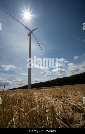 il generatore alimenta l'agricoltura l'energia eolica il mais il grano l'ambiente l'energia verde rinnovabile l'elettricità alternativa i terreni agricoli le nuvole estive Foto Stock