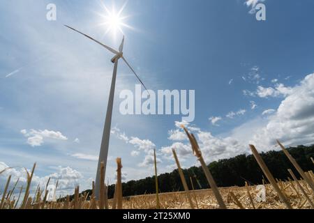 il generatore alimenta l'agricoltura l'energia eolica il mais il grano l'ambiente l'energia verde rinnovabile l'elettricità alternativa i terreni agricoli le nuvole estive Foto Stock