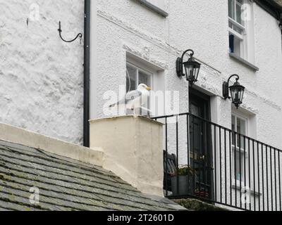 Un gabbiano seduto su un muro vicino a una ringhiera di fronte a una casa a St Ives, in Cornovaglia, Inghilterra Foto Stock