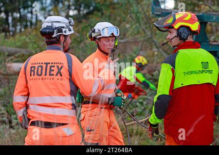 17 ottobre 2023, Turingia, Harztor/OT Ilfeld: I lavoratori forestali prendono in consegna gli alberi rimossi nel sito di deposizione. Come parte dell'obbligo di sicurezza stradale lungo l'autostrada federale 81, più di 100 alberi vengono rimossi dall'area su terreni impraticabili. A tal fine, una compagnia speciale svizzera è stata assunta per portare gli alberi fuori dalla zona con un elicottero. Foto: Matthias Bein/dpa Foto Stock