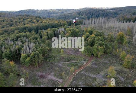 17 ottobre 2023, Turingia, Harztor/OT Ilfeld: Un elicottero sorvola un'area forestale vicino a Netzkater nell'ufficio forestale di Bleicherode-Südharz. Come parte dell'obbligo di sicurezza stradale lungo l'autostrada federale 81, oltre 100 alberi sono stati rimossi dall'area su terreni impraticabili. Una compagnia speciale dalla Svizzera è stata assunta per portare gli alberi fuori dalla zona con un elicottero. Foto: Matthias Bein/dpa Foto Stock