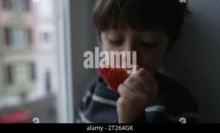 Bambino che mangia fragole dalla finestra. Bambino che prende un morso di frutta sana e nutriente Foto Stock