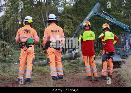 17 ottobre 2023, Turingia, Harztor/OT Ilfeld: I lavoratori forestali prendono in consegna gli alberi rimossi nel sito di deposizione. Come parte dell'obbligo di sicurezza stradale lungo l'autostrada federale 81, più di 100 alberi vengono rimossi dall'area su terreni impraticabili. A tal fine, una compagnia speciale svizzera è stata assunta per portare gli alberi fuori dalla zona con un elicottero. Foto: Matthias Bein/dpa Foto Stock