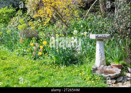 Primo piano del giardino paesaggistico con fiori e erba verde, splendidi ornamenti e un bagno di uccelli, attenzione selettiva Foto Stock