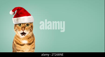 Gatto del Bengala che indossa il cappello di Babbo Natale, concetto natalizio, sfondo verde. Copia spazio. Foto Stock