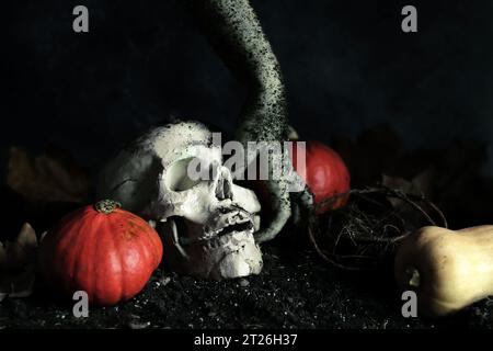 Mano zombie che tiene un teschio. Concetto di evento festivo di Halloween. Mano mostro, terra, radici e zucche. Mano e cranio artificiale. Buon Halloween Foto Stock