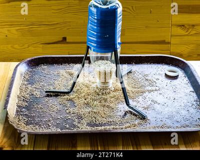 Alimentatore per uccelli realizzato con una bottiglia di plastica riempita con cereali. Concetto di aiuto animale. Foto Stock
