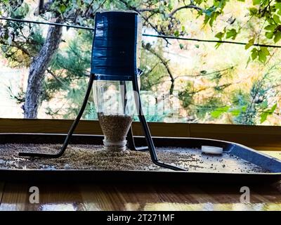 Alimentatore per uccelli realizzato con una bottiglia di plastica riempita con cereali. Concetto di aiuto animale. Foto Stock