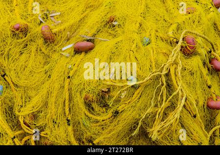 Pesca gialla seduto sul molo nella città di Zante in Grecia Foto Stock
