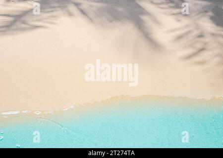 sfondo tropicale. le limpide acque del mare scorrono sulla spiaggia sabbiosa con l'ombra delle foglie di palma, vista dall'alto. Foto Stock