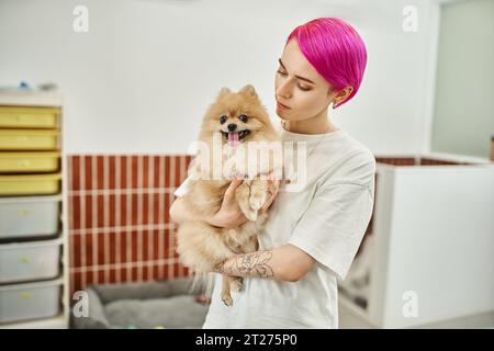 adorabile lavoratore d'hotel con i capelli viola che tiene in mano l'adorabile spitz, la cura e l'affetto della pomerania Foto Stock