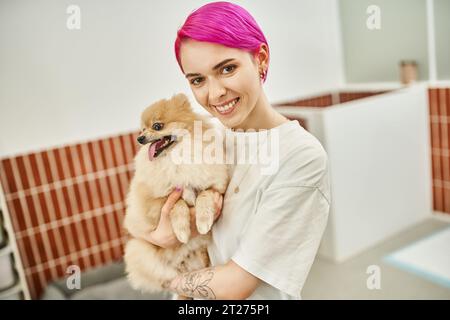 babysitter sorridente con capelli viola che reggono il pomeranian spitz in un hotel per animali domestici, cura e legame Foto Stock