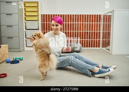 gioiosa dog sitter che tratta il pomeranian spitz mentre si siede a terra durante la lezione di allenamento Foto Stock