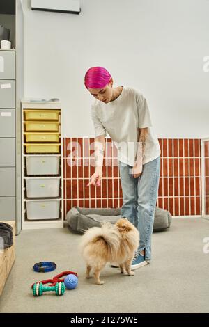 dog sitter che punta con il dito mentre si allena lo spitz della pomerania in un hotel per animali domestici, lezione di obbedienza Foto Stock