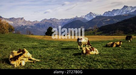 Megeve in Demi Quartier in Chalet De la Vieille , alta Savoia in Francia Foto Stock