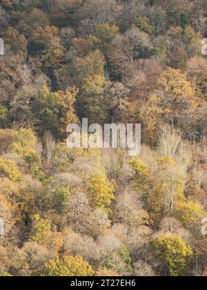 Nortoncamp Wood vicino a Craven Arms, Shropshire, vista da Stoke Wood nel colore autunnale. Foto Stock