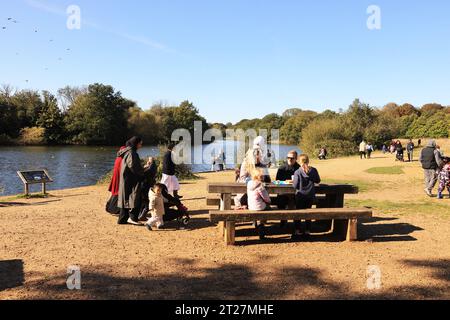 Tempo autunnale sul Chestnut Trail nella foresta di Epping, est di Londra, Regno Unito Foto Stock