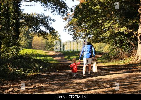 Tempo autunnale sul Chestnut Trail nella foresta di Epping, est di Londra, Regno Unito Foto Stock