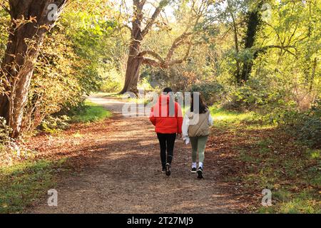 Tempo autunnale sul Chestnut Trail nella foresta di Epping, est di Londra, Regno Unito Foto Stock