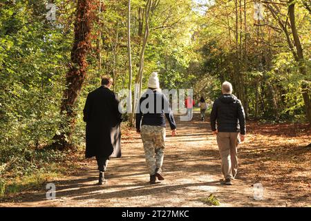 Tempo autunnale sul Chestnut Trail nella foresta di Epping, est di Londra, Regno Unito Foto Stock