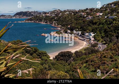 Scorching Bay, Karaka Bay area, Miramar Peninsula, Wellington, nuova Zelanda Foto Stock