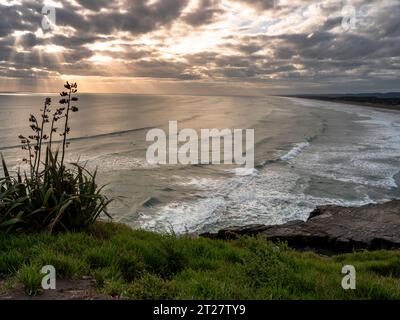 Spiaggia di Muriwai, costa occidentale di Auckland, nuova Zelanda Foto Stock